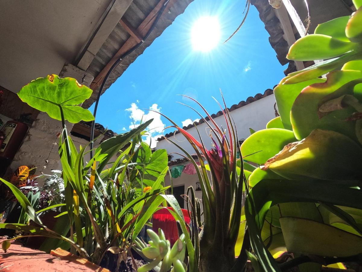 Hostal Posada Mi Casa San Cristóbal de Las Casas Exteriör bild