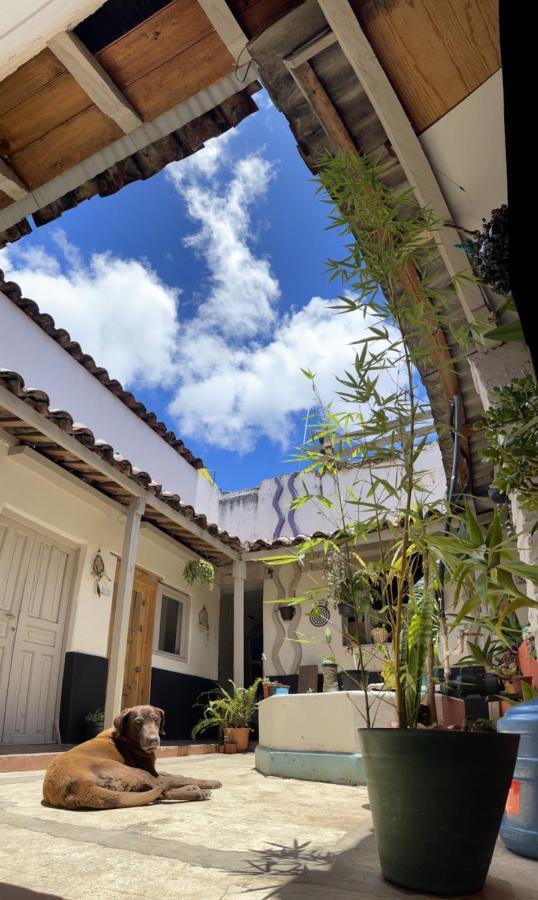 Hostal Posada Mi Casa San Cristóbal de Las Casas Exteriör bild