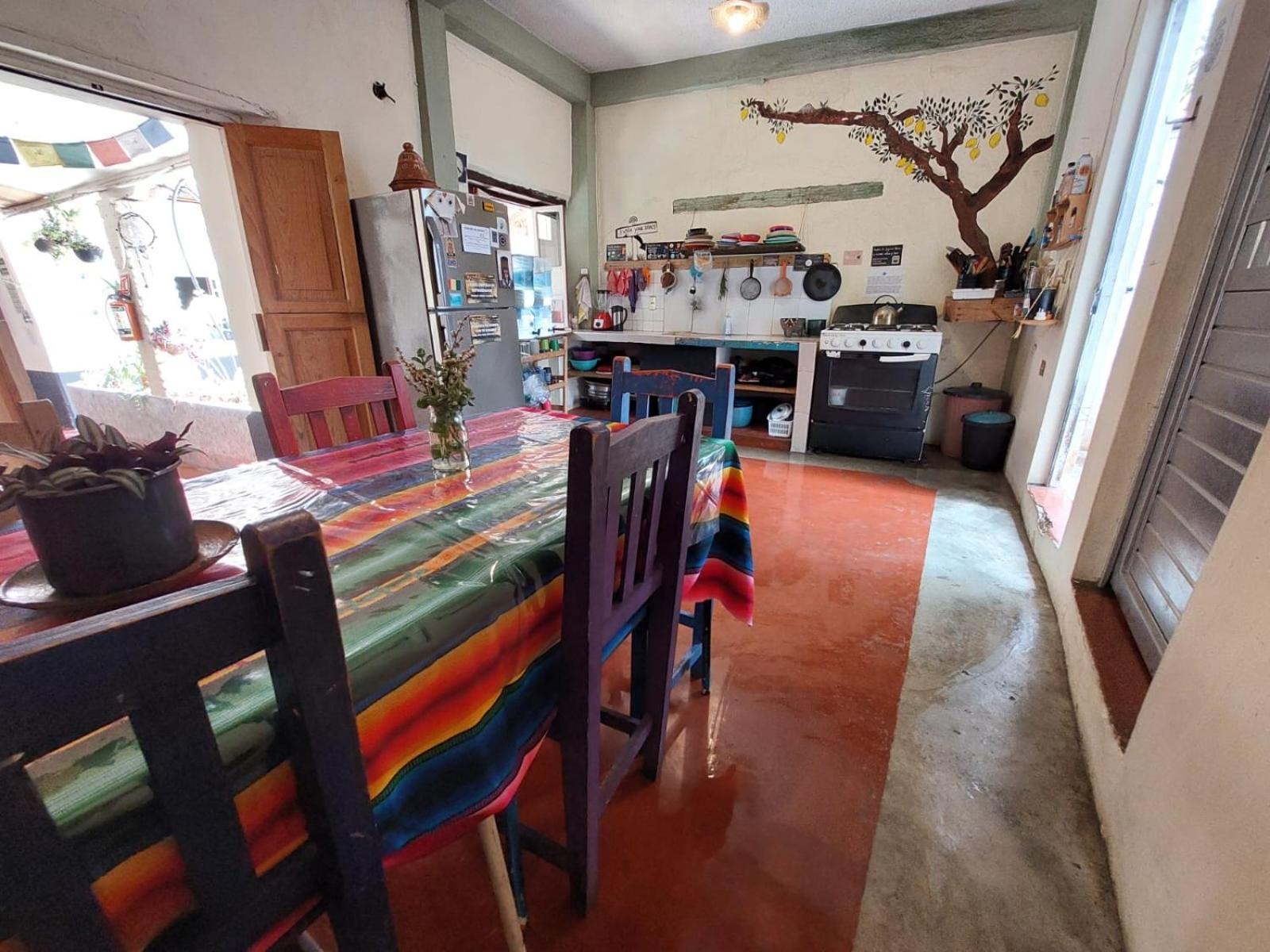 Hostal Posada Mi Casa San Cristóbal de Las Casas Exteriör bild