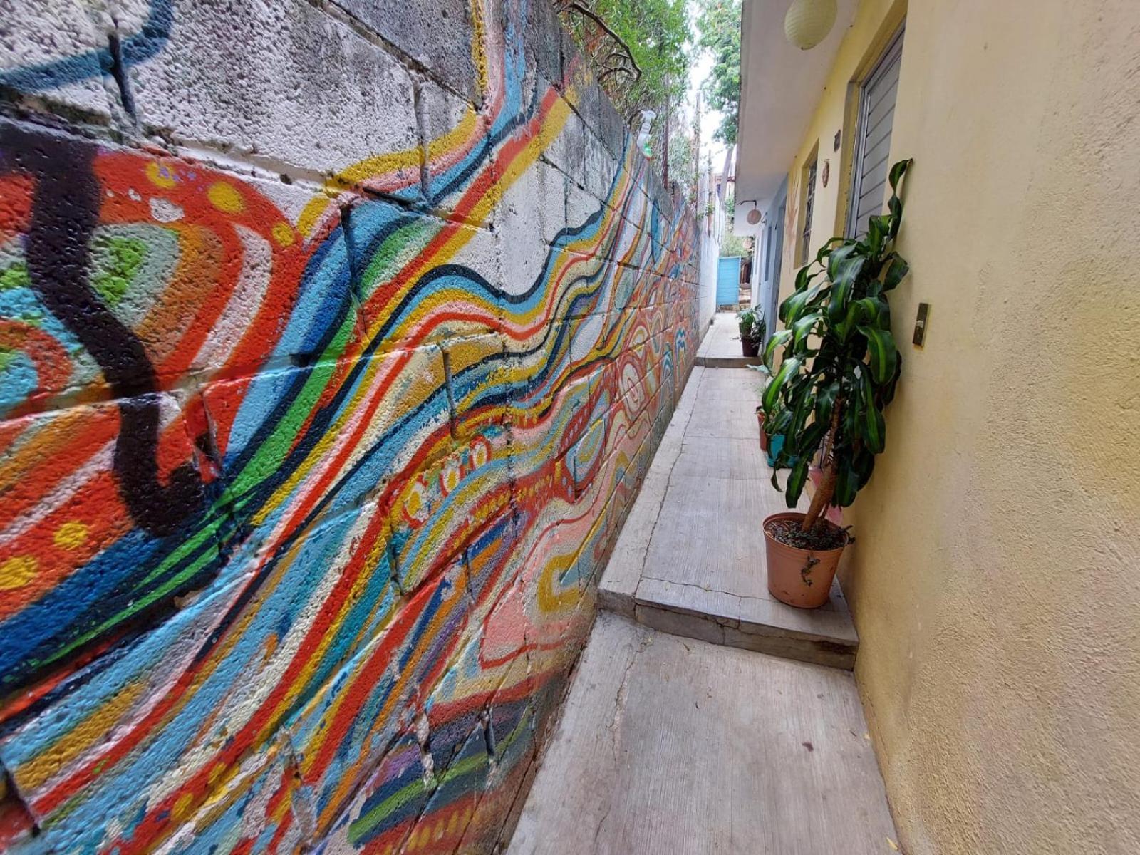 Hostal Posada Mi Casa San Cristóbal de Las Casas Exteriör bild
